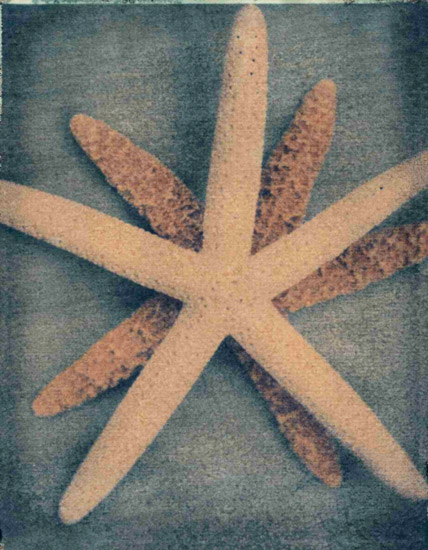 Kompatibelt Fortfarande liv till Jahrriesnge starfish-lpf00176 Kompatibelt Fortfarande liv Jahrriesnge till starfish-lpf00176