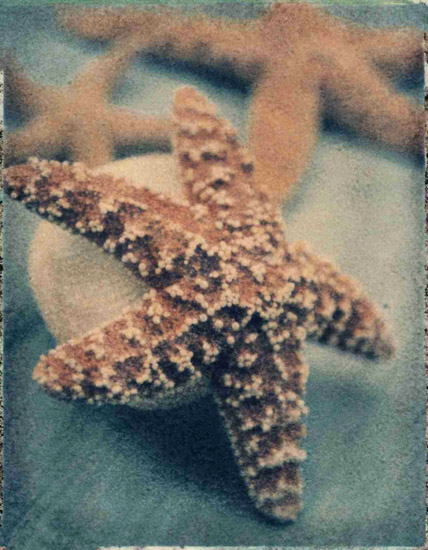 Kompatibelt Fortfarande liv till Jahrriesnge starfish-lpf00178 Kompatibelt Fortfarande liv Jahrriesnge till starfish-lpf00178
