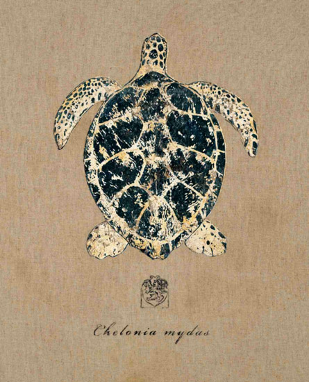 Kompatibelt Fortfarande liv till Jahrriesnge tortoise-lpf00179 Kompatibelt Fortfarande liv Jahrriesnge till tortoise-lpf00179