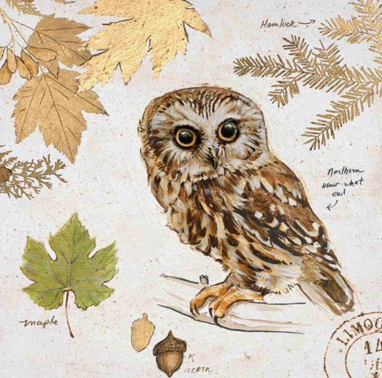 Kompatibelt Fortfarande liv till Jahrriesnge owl-lpf00190 Kompatibelt Fortfarande liv Jahrriesnge till owl-lpf00190