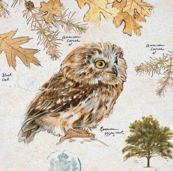 Kompatibelt Fortfarande liv till Jahrriesnge owl-lpf00191 Kompatibelt Fortfarande liv Jahrriesnge till owl-lpf00191