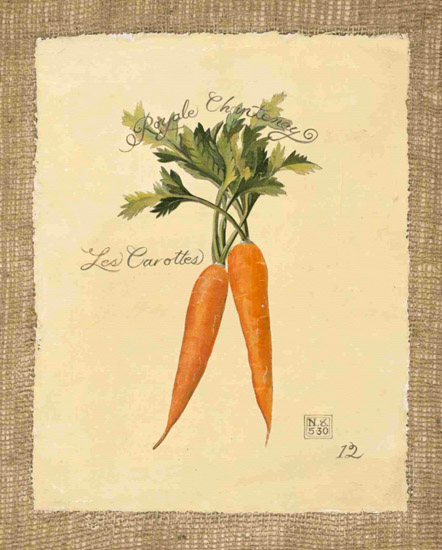 Kompatibelt Fortfarande liv till Jahrriesnge carrot-lpf00284 Kompatibelt Fortfarande liv Jahrriesnge till carrot-lpf00284