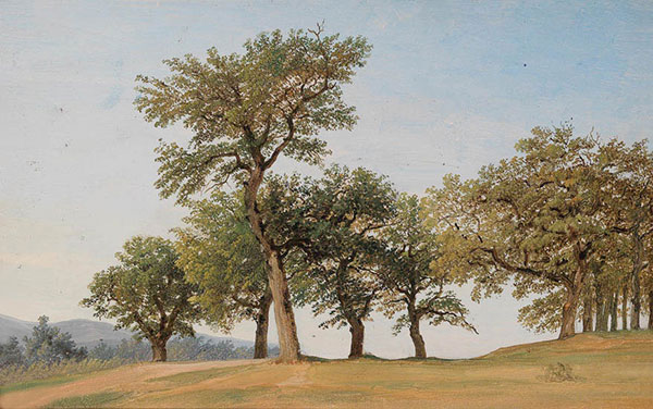 Kompatibelt Landskap till JAHRRIESNGE tree-lpf01635 Kompatibelt Landskap JAHRRIESNGE till tree-lpf01635