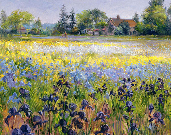Kompatibelt Landskap till JAHRRIESNGE flower-field-lpf02501 Kompatibelt Landskap JAHRRIESNGE till flower-field-lpf02501