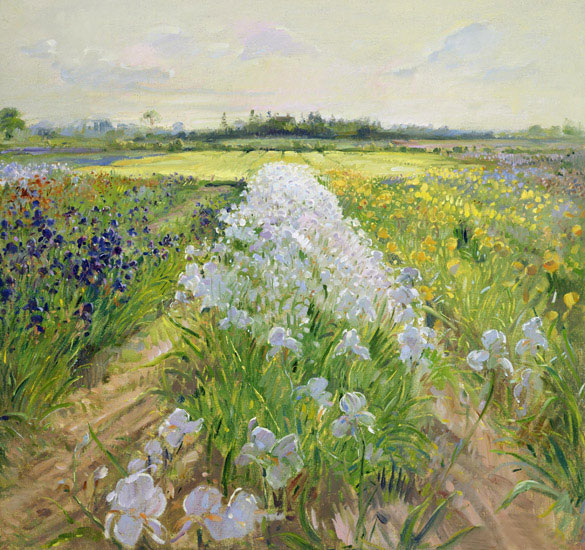 Kompatibelt Landskap till JAHRRIESNGE flower-field-lpf02504 Kompatibelt Landskap JAHRRIESNGE till flower-field-lpf02504