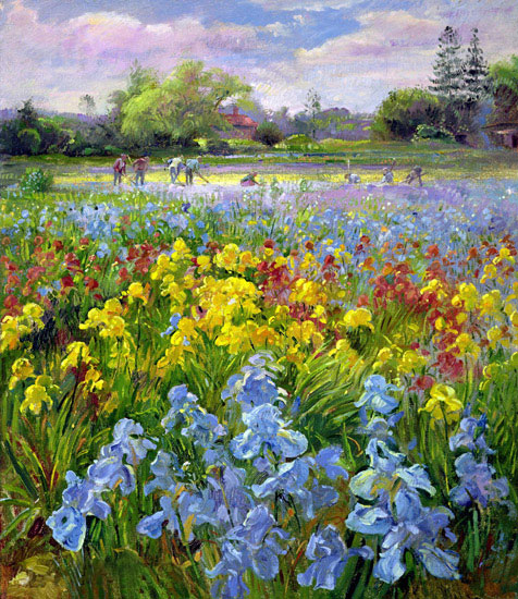 Kompatibelt Landskap till JAHRRIESNGE flower-field-lpf02507 Kompatibelt Landskap JAHRRIESNGE till flower-field-lpf02507