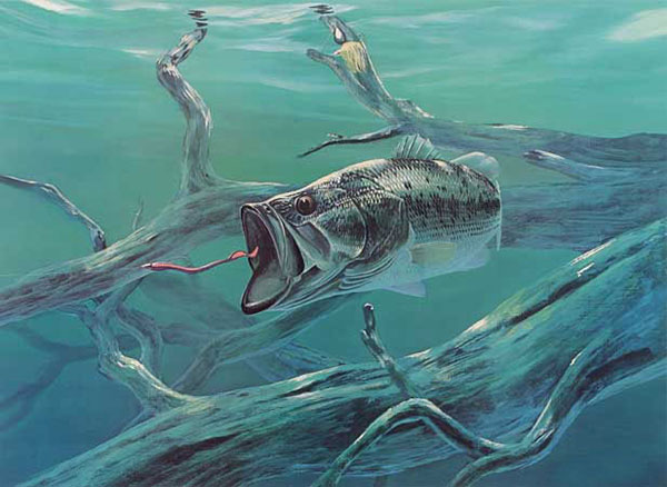 Kompatibelt djur till Jahrriesnge fish-lpf02522 Kompatibelt djur Jahrriesnge till fish-lpf02522