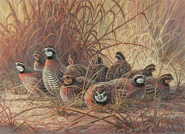 Kompatibelt djur till Jahrriesnge pheasant-lpf02525 Kompatibelt djur Jahrriesnge till pheasant-lpf02525