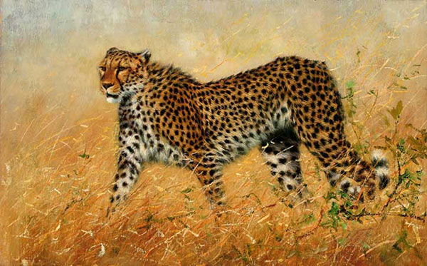 Kompatibelt djur till Jahrriesnge leopard-lpf02538 Kompatibelt djur Jahrriesnge till leopard-lpf02538