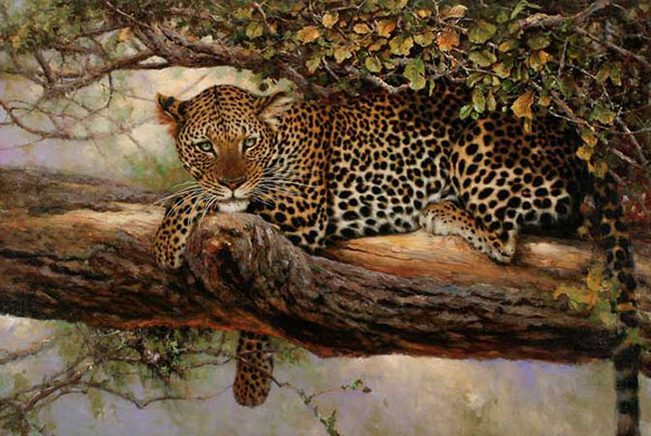 Kompatibelt djur till Jahrriesnge leopard-lpf02539 Kompatibelt djur Jahrriesnge till leopard-lpf02539