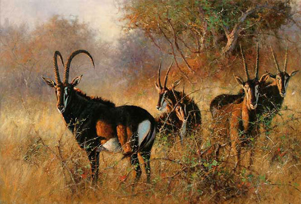 Kompatibelt djur till Jahrriesnge antelope-lpf02541 Kompatibelt djur Jahrriesnge till antelope-lpf02541