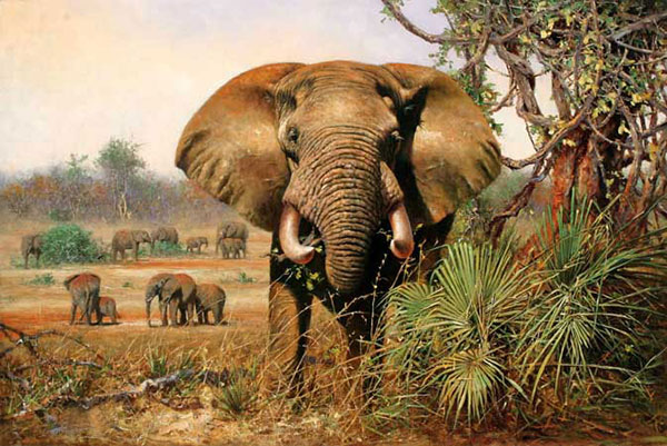 Kompatibelt djur till Jahrriesnge elephant-lpf02544 Kompatibelt djur Jahrriesnge till elephant-lpf02544