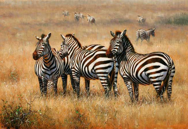 Kompatibelt djur till Jahrriesnge African-Zebra-lpf02545 Kompatibelt djur Jahrriesnge till African-Zebra-lpf02545