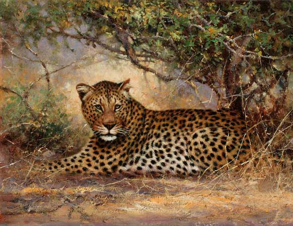 Kompatibelt djur till Jahrriesnge Leopard-lpf02547 Kompatibelt djur Jahrriesnge till Leopard-lpf02547