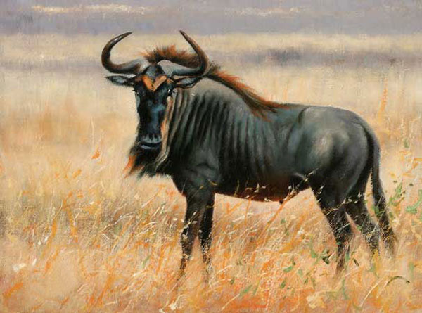 Kompatibelt djur till Jahrriesnge wildebeest-lpf02552 Kompatibelt djur Jahrriesnge till wildebeest-lpf02552