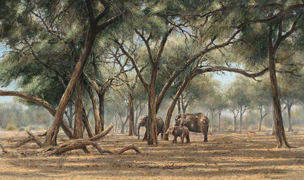 Kompatibelt djur till Jahrriesnge elephant-lpf02557 Kompatibelt djur Jahrriesnge till elephant-lpf02557