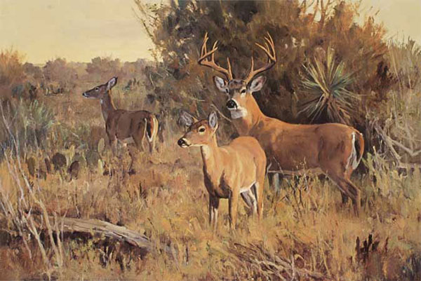 Kompatibelt djur till Jahrriesnge deers-lpf02559 Kompatibelt djur Jahrriesnge till deers-lpf02559