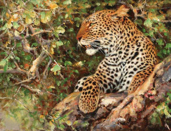 Kompatibelt djur till Jahrriesnge leopard-lpf02565 Kompatibelt djur Jahrriesnge till leopard-lpf02565