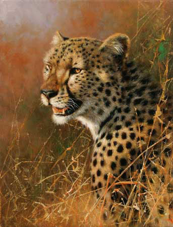 Kompatibelt djur till Jahrriesnge leopard-lpf02567 Kompatibelt djur Jahrriesnge till leopard-lpf02567