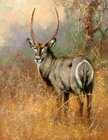 Kompatibelt djur till Jahrriesnge antelope-lpf02568 Kompatibelt djur Jahrriesnge till antelope-lpf02568