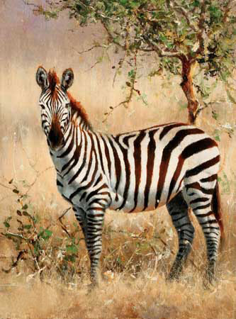 Kompatibelt djur till Jahrriesnge zebra-lpf02570 Kompatibelt djur Jahrriesnge till zebra-lpf02570