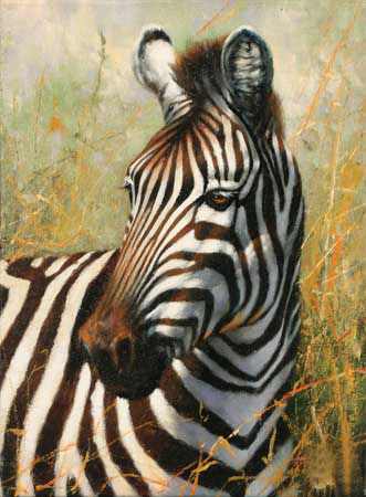 Kompatibelt djur till Jahrriesnge zebra-lpf02572 Kompatibelt djur Jahrriesnge till zebra-lpf02572