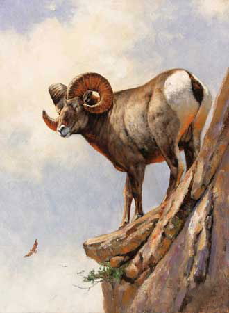 Kompatibelt djur till Jahrriesnge bighorn-sheep-lpf02574 Kompatibelt djur Jahrriesnge till bighorn-sheep-lpf02574