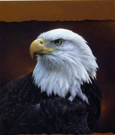 Kompatibelt djur till Jahrriesnge sea-eagle-lpf02575 Kompatibelt djur Jahrriesnge till sea-eagle-lpf02575