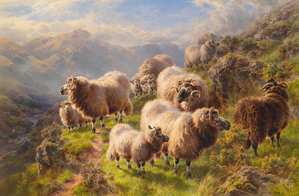 Kompatibelt djur till Jahrriesnge karakul-sheep-lpf02617 Kompatibelt djur Jahrriesnge till karakul-sheep-lpf02617