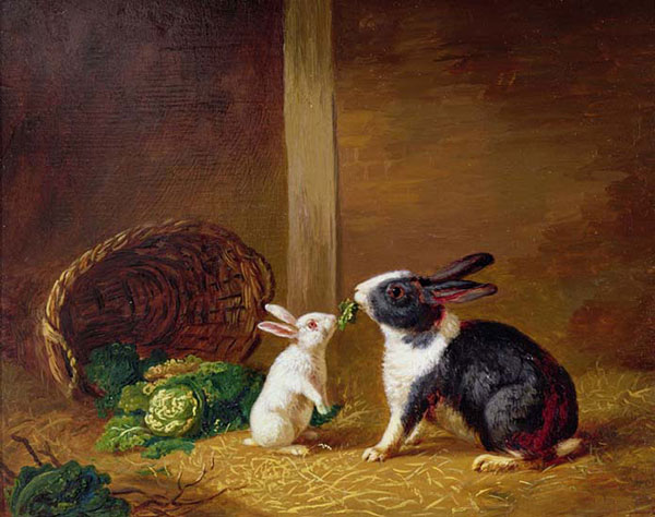 Kompatibelt djur till Jahrriesnge rabbit-lpf02630 Kompatibelt djur Jahrriesnge till rabbit-lpf02630