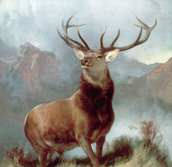 Kompatibelt djur till Jahrriesnge red-deer-lpf02655 Kompatibelt djur Jahrriesnge till red-deer-lpf02655