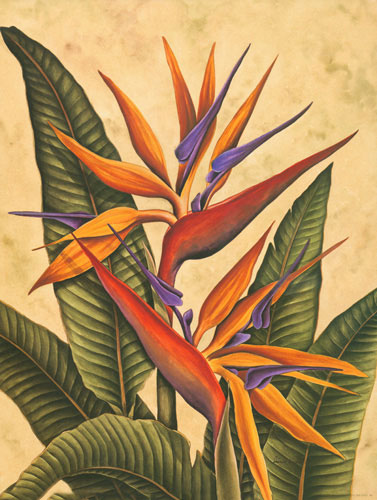 Kompatibelt Blommig till JAHRRIESNGE bird of paradise flower lpf04605 Kompatibelt Blommig JAHRRIESNGE till bird of paradise flower lpf04605