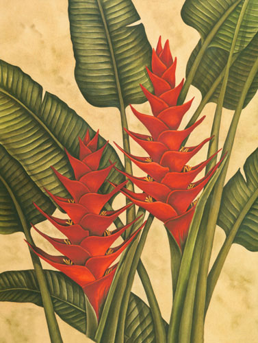 Kompatibelt Blommig till JAHRRIESNGE heliconia lpf04606 Kompatibelt Blommig JAHRRIESNGE till heliconia lpf04606