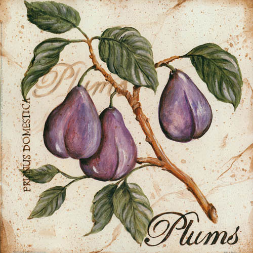 Kompatibelt Blommig till JAHRRIESNGE plums lpf05600 Kompatibelt Blommig JAHRRIESNGE till plums lpf05600