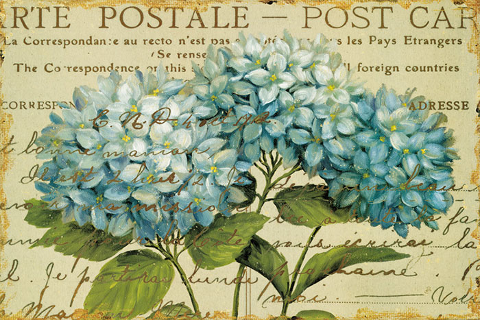 Kompatibelt Blommig JAHRRIESNGE  till flowers-lpf06628 