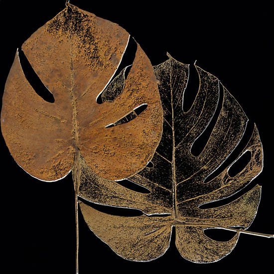 Kompatibelt Blommig till JAHRRIESNGE leaf-lpf07350 Kompatibelt Blommig JAHRRIESNGE till leaf-lpf07350