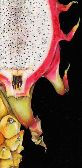 Kompatibelt Blommig till JAHRRIESNGE dragon fruit lpf08147 Kompatibelt Blommig JAHRRIESNGE till dragon fruit lpf08147