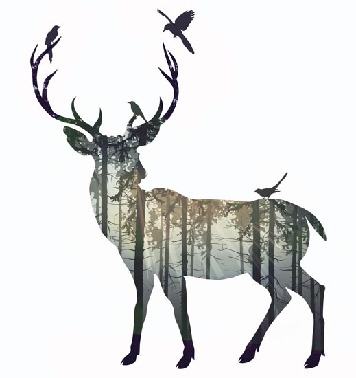 Kompatibelt djur till Jahrriesnge deer lpf08601 Kompatibelt djur Jahrriesnge till deer lpf08601