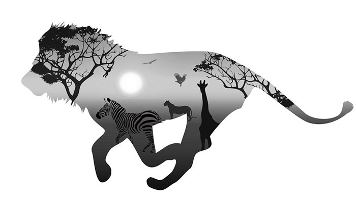 Kompatibelt djur till Jahrriesnge lion and zebra lpf08621 Kompatibelt djur Jahrriesnge till lion and zebra lpf08621