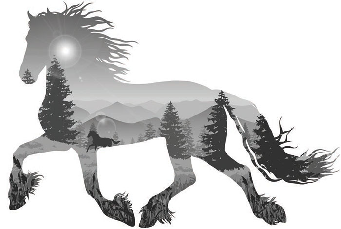 Kompatibelt djur till Jahrriesnge horse lpf08622 Kompatibelt djur Jahrriesnge till horse lpf08622
