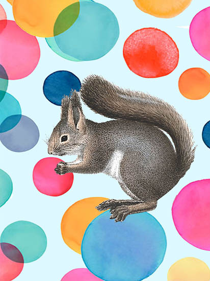 Kompatibelt djur till Jahrriesnge squirrel lpf08643 Kompatibelt djur Jahrriesnge till squirrel lpf08643