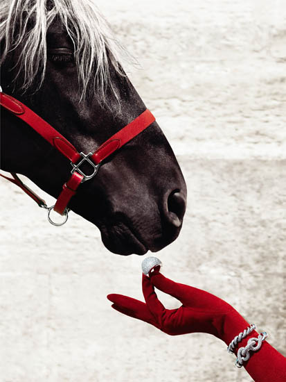 Kompatibelt djur till Jahrriesnge horse lpf08645 Kompatibelt djur Jahrriesnge till horse lpf08645