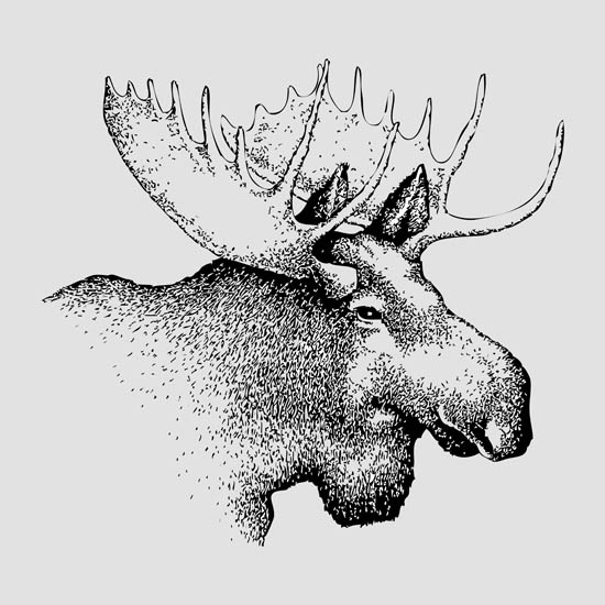 Kompatibelt djur till Jahrriesnge deer lpf08653 Kompatibelt djur Jahrriesnge till deer lpf08653
