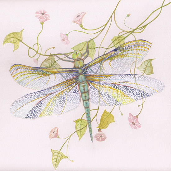 Kompatibelt djur till Jahrriesnge dragonfly lpf08679 Kompatibelt djur Jahrriesnge till dragonfly lpf08679