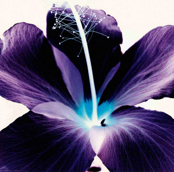Kompatibelt Blommig till JAHRRIESNGE flowers lpf09990 Kompatibelt Blommig JAHRRIESNGE till flowers lpf09990