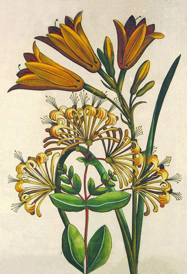Kompatibelt Blommig till JAHRRIESNGE flowers lpf10189 Kompatibelt Blommig JAHRRIESNGE till flowers lpf10189