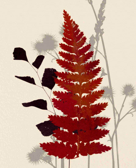 Kompatibelt Blommig till JAHRRIESNGE leaves lpf10284 Kompatibelt Blommig JAHRRIESNGE till leaves lpf10284