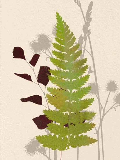 Kompatibelt Blommig till JAHRRIESNGE leaves lpf10287 Kompatibelt Blommig JAHRRIESNGE till leaves lpf10287