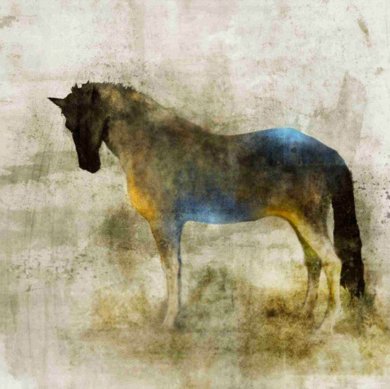 Kompatibelt djur till Jahrriesnge horse lpf10532 Kompatibelt djur Jahrriesnge till horse lpf10532