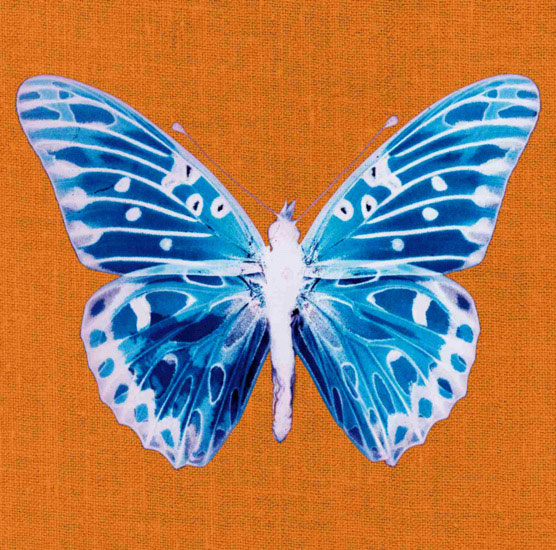 Kompatibelt djur till Jahrriesnge butterfly lpf10548 Kompatibelt djur Jahrriesnge till butterfly lpf10548